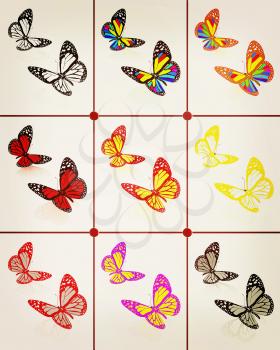 Butterflies botany set. 3D illustration. Vintage style.