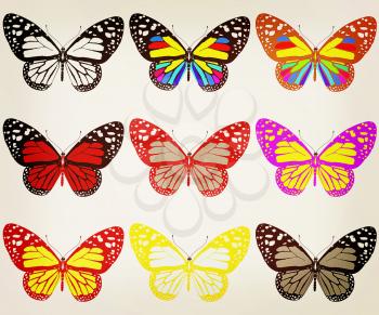 Butterflies botany set. 3D illustration. Vintage style.