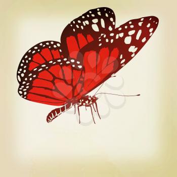 beauty butterfly. 3D illustration. Vintage style.