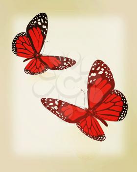 beauty butterflies. 3D illustration. Vintage style.