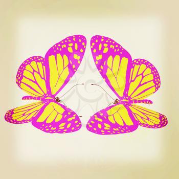beauty butterflies. 3D illustration. Vintage style.