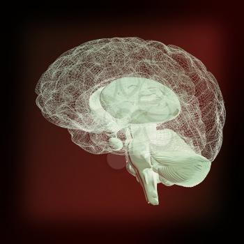 Creative concept of the human brain. 3D illustration. Vintage style.