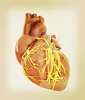 Human heart. 3D illustration. Vintage style.