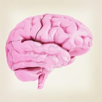 human brain. 3D illustration. Vintage style.