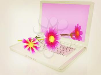 cosmos flower on laptop on a white background. 3D illustration. Vintage style.