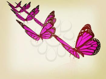Butterfly on a white background. 3D illustration. Vintage style.