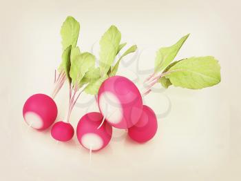 Small garden radish on a white background. 3D illustration. Vintage style.