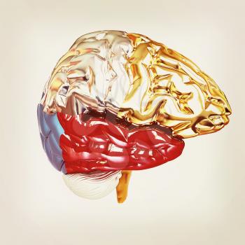 Colorfull human brain. 3D illustration. Vintage style.