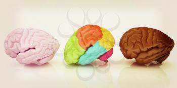 Human brains. 3D illustration. Vintage style.