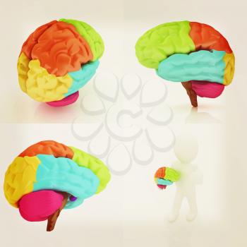 Colorfull human brain. 3D illustration. Vintage style.