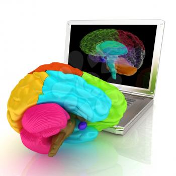 creative three-dimensional model of real human brain and scan on a digital laptop. 3d render