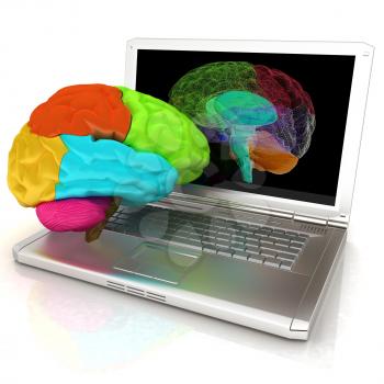 creative three-dimensional model of real human brain and scan on a digital laptop. 3d render