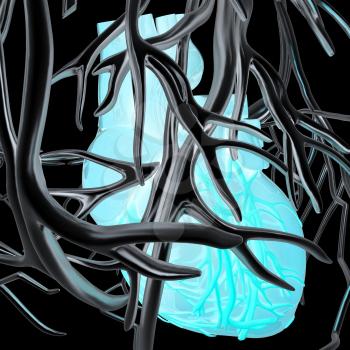 Human heart and veins. 3D illustration.