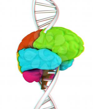 Brain and dna. 3d illustration. Anaglyph. View with red/cyan glasses to see in 3D.