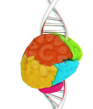 Brain and dna. 3d illustration. Anaglyph. View with red/cyan glasses to see in 3D.