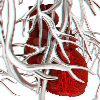 Human heart and veins. 3D illustration.. Anaglyph. View with red/cyan glasses to see in 3D.