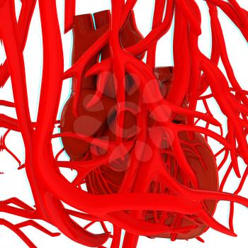 Human heart and veins. 3D illustration.. Anaglyph. View with red/cyan glasses to see in 3D.