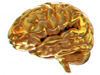 Gold brain. 3d render. Anaglyph. View with red/cyan glasses to see in 3D.