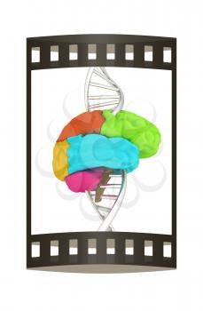 Brain and dna. 3d illustration. The film strip