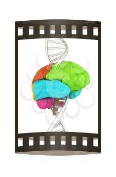 Brain and dna. 3d illustration. The film strip