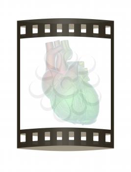 Human heart and veins. 3D illustration.. The film strip