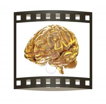 Gold brain. 3d render. The film strip
