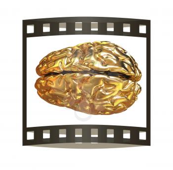 Gold brain. 3d render
