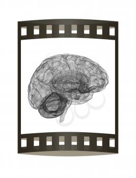 Creative concept of the human brain. The film strip