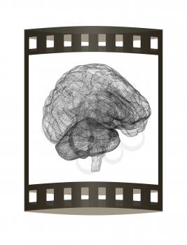 Creative concept of the human brain. The film strip