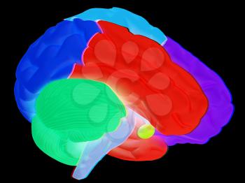 creative concept with 3d rendered colourful brain. Anaglyph. View with red/cyan glasses to see in 3D.