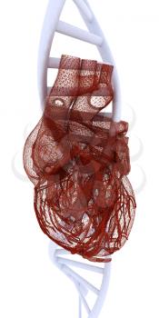 DNA and heart medical concept. 3d illustration