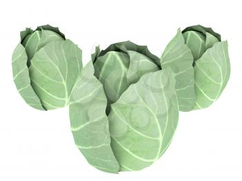 green cabbage isolated on white background. 3d illustration