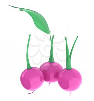Small garden radish isolated on white background. 3d illustration