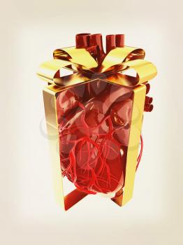Red human heart with ribbon. Donor concept. 3d illustration. Vintage style