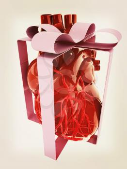 Red human heart with ribbon. Donor concept. 3d illustration. Vintage style