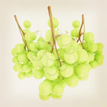Healthy fruits Green wine grapes isolated white background. Bunch of grapes ready to eat. 3d illustration. Vintage style