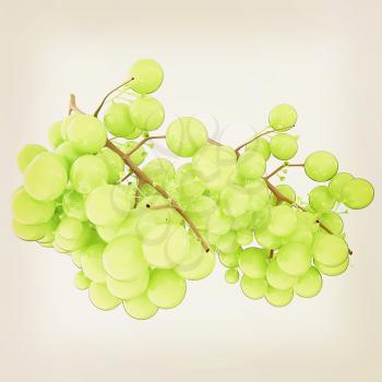 Healthy fruits Green wine grapes isolated white background. Bunch of grapes ready to eat. 3d illustration. Vintage style