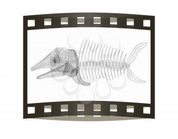 Fish bone icon. 3d illustration. The film strip.