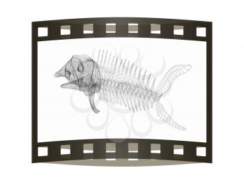 Fish bone icon. 3d illustration. The film strip.