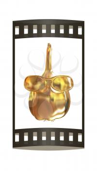 Gold Head of garlic with sun glass front face on a white background. 3D illustration.. The film strip.