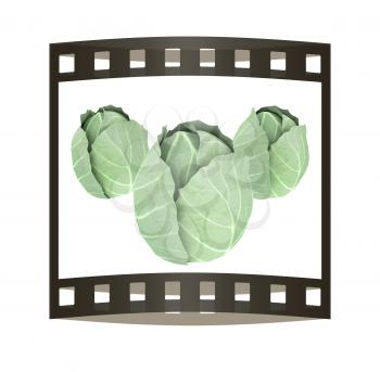 green cabbage isolated on white background. 3d illustration. The film strip.
