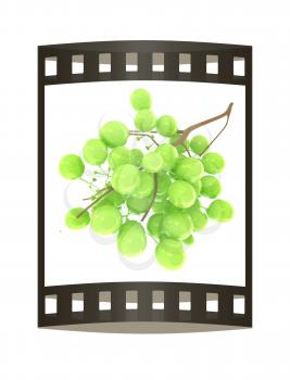 Healthy fruits Green wine grapes isolated white background. Bunch of grapes ready to eat. 3d illustration. The film strip.