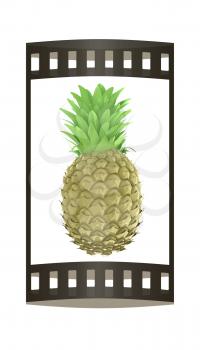 pineapple.3d illustration. The film strip.