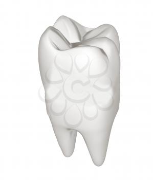 Tooth. 3d illustration