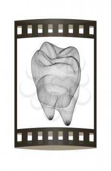 Mesh model of tooth. 3d illustration. Film strip.
