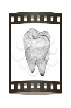 Mesh model of tooth. 3d illustration. Film strip.