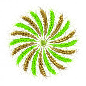 3D illustration of a golden and green not mature wreath made of wheat spikelets. Design element. 3d render