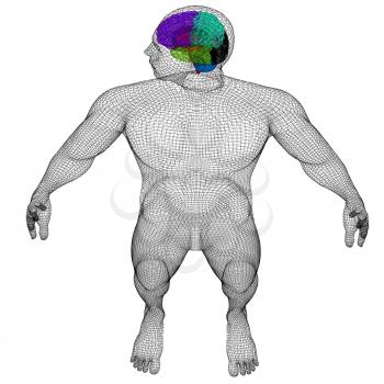 Wire human model with brain. 3d render