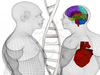 3D medical background with DNA strands and wire human body model with heart and brain in x-ray. 3d render