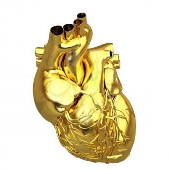 Golden anatomical heart. 3d render